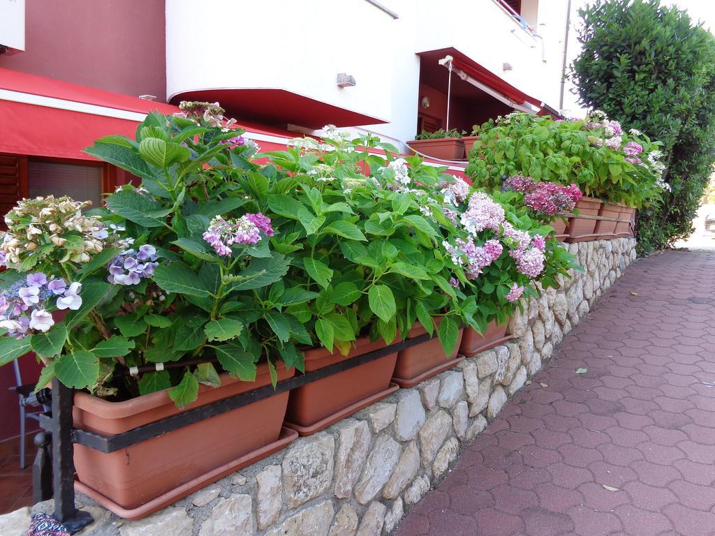 Apartmani Adrijan Krk Krk Town Luaran gambar