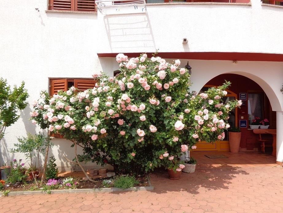 Apartmani Adrijan Krk Krk Town Luaran gambar